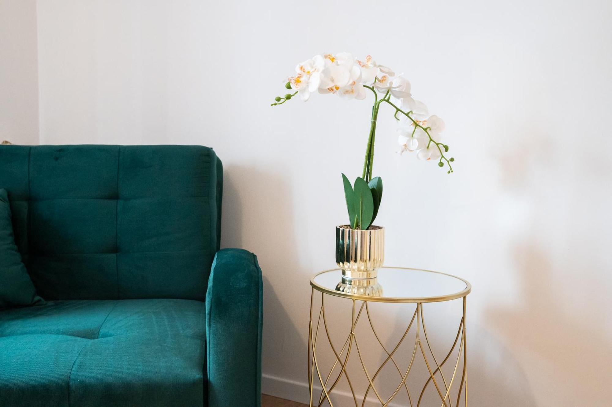 Olinar Apartments ザダル エクステリア 写真